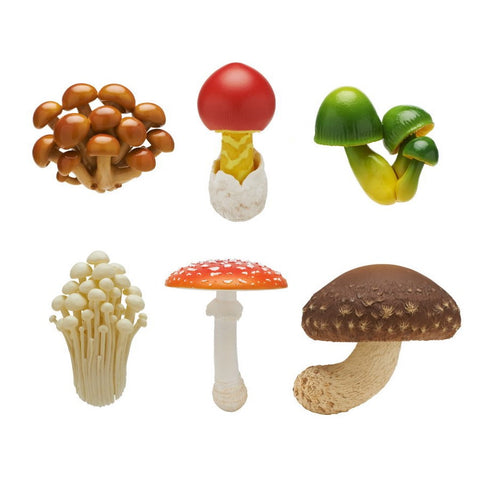 Mushroom Magnet 1