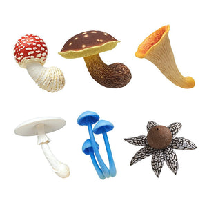 Mushroom Magnet 2