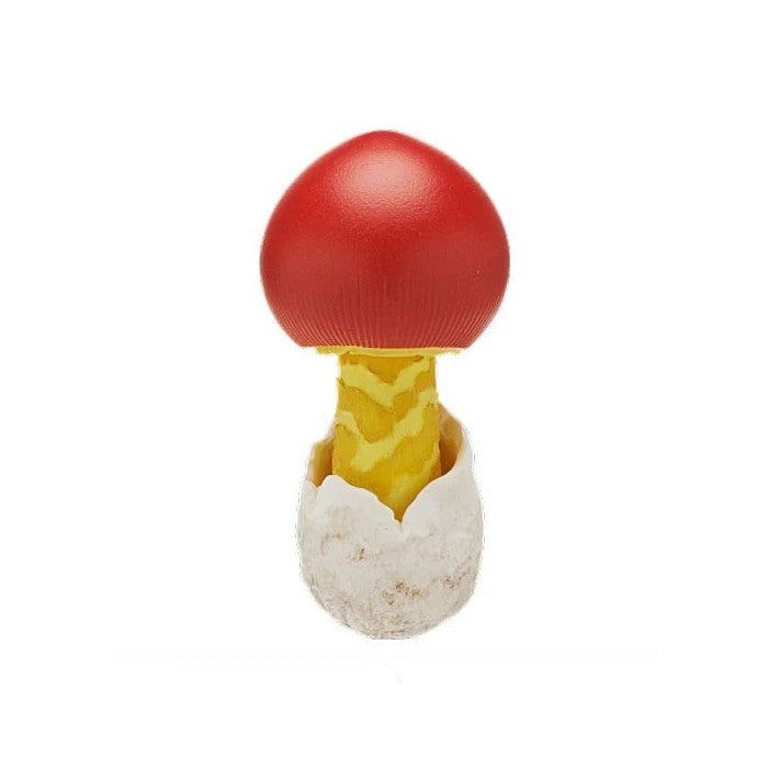 Mushroom Magnet 1