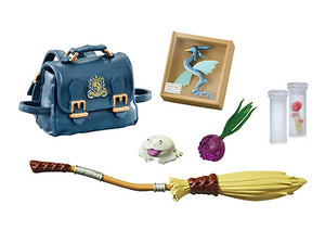 School of Witchcraft and Wizardry