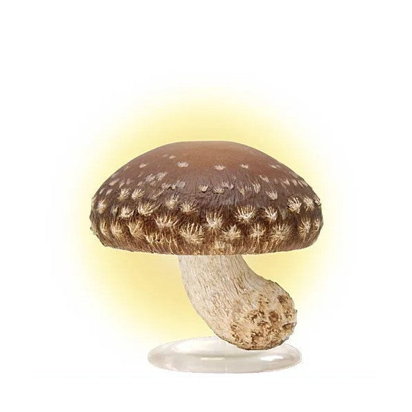 Mushroom LED Light / ball chain mascot